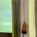 용이동 소로 2-670 | Ep37. 서울 망원시장카페 외부 음식 반입 가능 콜드브루 맛집 '범골커피'에 가다?!(메뉴/주차/후기)