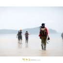 바다바라길