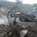 덕암1길 이미지