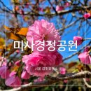 투썸플레이스 한강미사아이에스비즈타워점 | 서울 근교 하남 미사경정공원 겹벚꽃 명소 주차 개화현황 카페 투썸플레이스