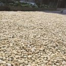 천일스테이션 이미지