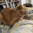 더 트리니티스파 바이 김지하 이미지