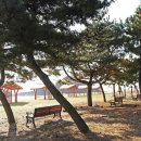 장골칼국수 이미지