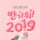 돼지우리 이미지