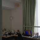 다운타운 이미지