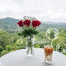 얄미운 사랑 이미지