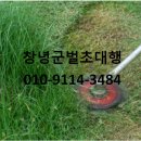 계성장마로 이미지