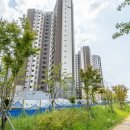 초롱공원 농구장 이미지