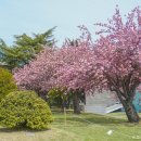 부산수목전시원 이미지