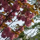 썸원스키친 이미지