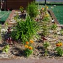 소금꽃정원 이미지