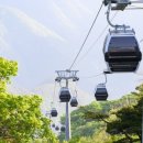 정선 가리왕산 케이블카 이미지