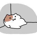 포이푸경포세인트존스호텔점 이미지