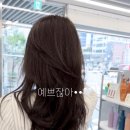 체스넛 - 부평구 | 나에게 딱 맞는 분위기 여신 헤어! 고급스러운 '체스넛 브라운' 염색 후기