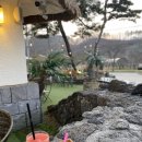 제주도화 이미지