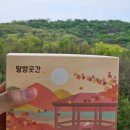 말랑 | 강릉 중앙시장 맛집 말랑곳간 인절미 후기 카스테라맛 &amp; 초코맛 솔직하게 먹어봤어요