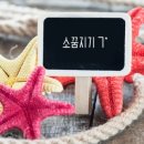 소꿈노리