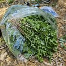 두무포산장 이미지