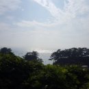 장군태양광발전소1 이미지