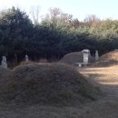 이유청 묘 이미지