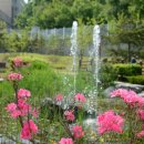 여성가족공원 이미지