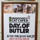 집사의 하루 일산점 이미지