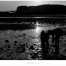 무창포해수욕장 이미지