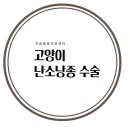 지음동물의료센터 이미지