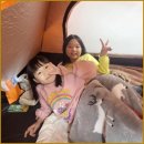 화랑합기도 특공무술 | 탄현동 화랑 합기도 특공무술 아이들 자신감 키워주는 명문 체육관