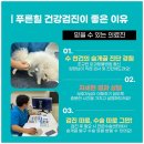 푸른힐동물병원 네이버블로그