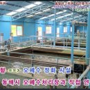 동해세탁소 이미지