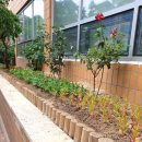 사동행정복지센터 이미지