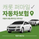 캐롯 퍼마일 자동차 보험 완벽 정리