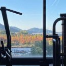 원대로-1 이미지