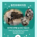 포에버 의원 이미지