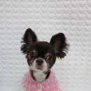 킨더그루밍 이미지