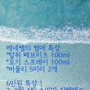 레네의작업실