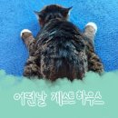 섬데이 제주 | 제주 동쪽 1인 숙소 어떤날 게스트하우스 조식 역대급