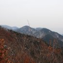 미린