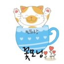 도그니팅