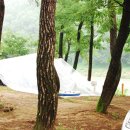 학생야영장 옆 이미지