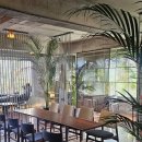 창안빌딩 | [합정까페] 서원안길 내돈내산 후기: 주차 안됨 주의! 근처 유료주차장 꿀팁 &amp; 반려동물 동반 카페