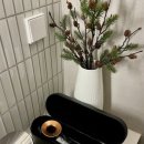 파르마 스테이 이미지