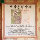 상봉풍천장어 이미지