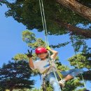 강내초등학교 이미지