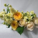 전혜숙농장 이미지