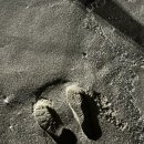 글로리아키즈가족단체 이미지