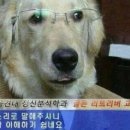 스테이라운지