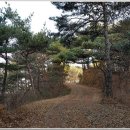 곡성-182 Daum카페