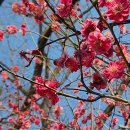 말의 프레임 이미지